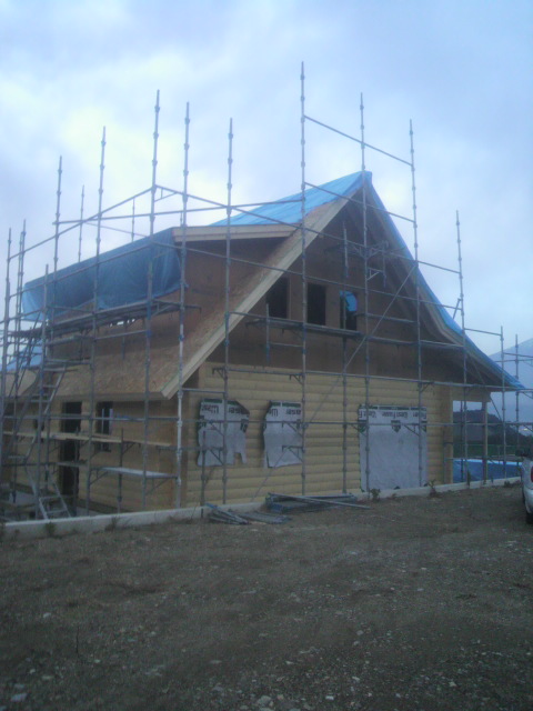 IMG_1241.JPG