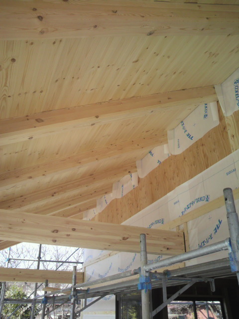 2011022612040000.jpg