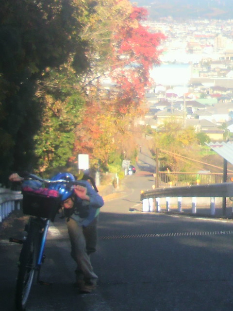 2011121113470000.jpg