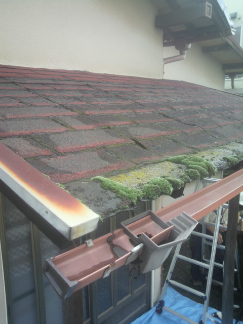 2012070208170000.jpg
