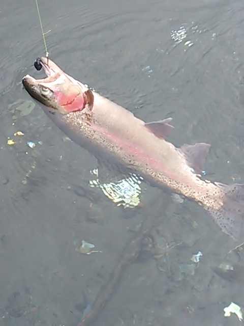 DSC_0633.JPG
