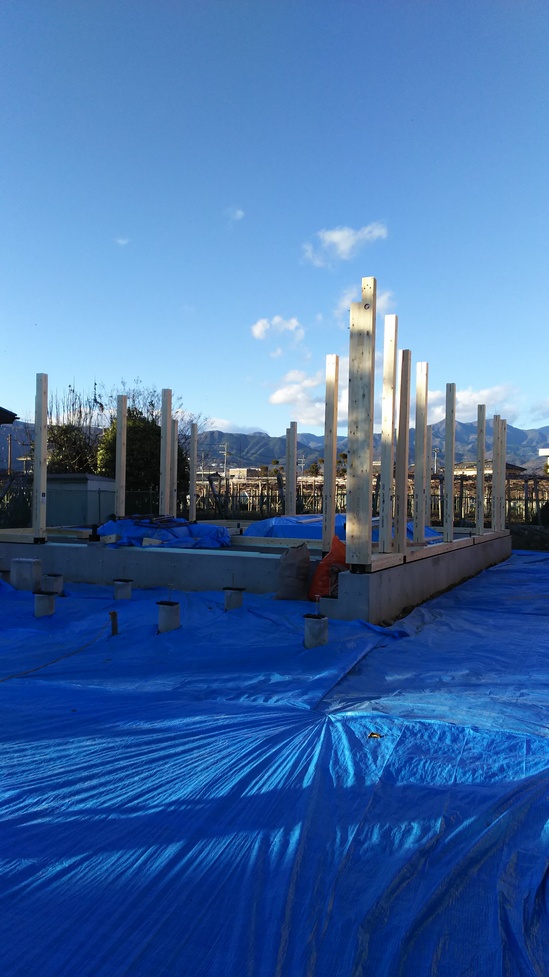 DSC_0220.JPG