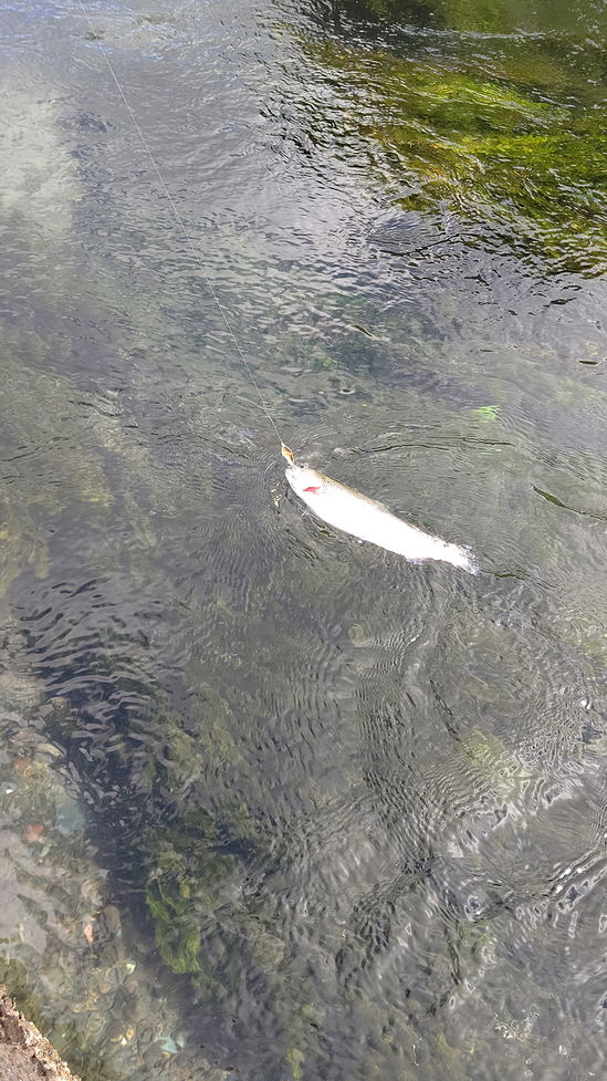 DSC_0702blog.JPG